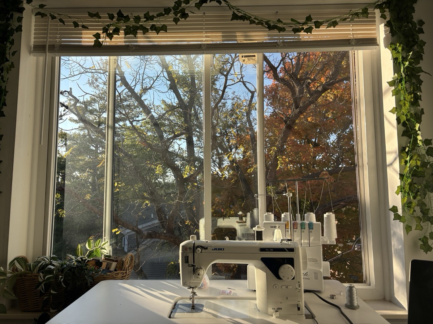 A sewing machine and serger set up by a sunlit window